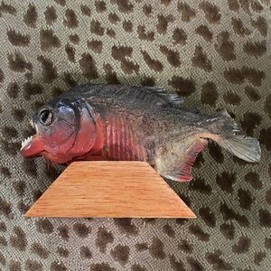 Vintage Piranha Display Taxidermy Mount